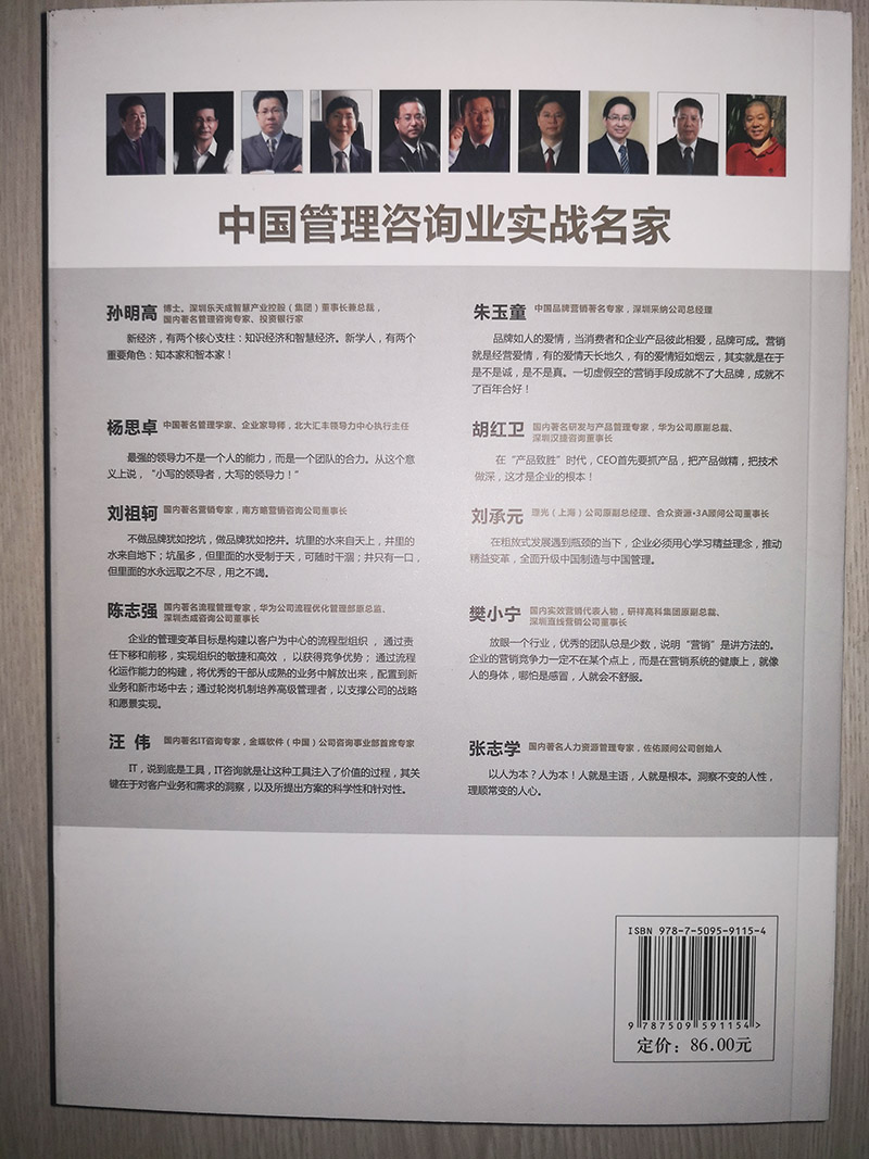 中國管理咨詢業(yè)實戰(zhàn)名家背面